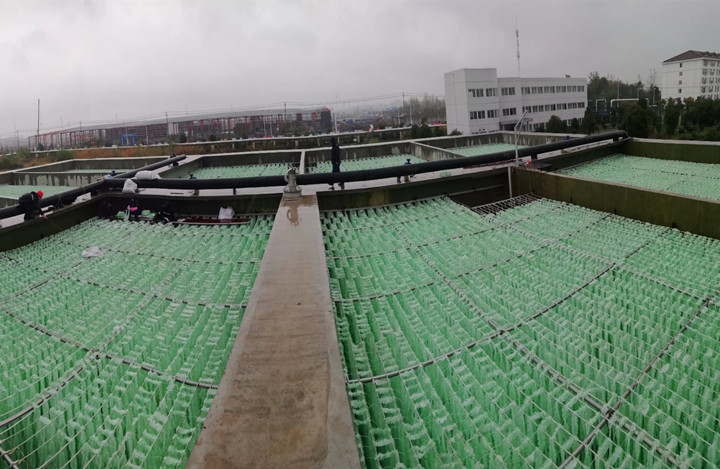 Vwin德赢新质料为安徽某印染废水站提供生物填料革新